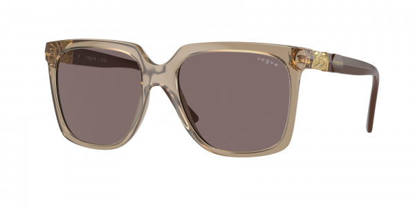 vogue_0vo5476sb_29407n_transparent_brown
