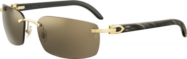 cartier_ct0046s_gold_003