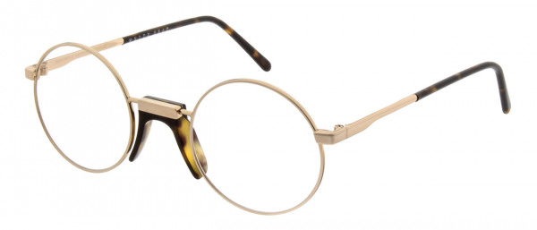 andy_wolf_sabol_b_goldbrown