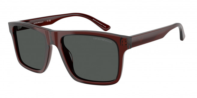 Emporio Armani  EA4232 617487 Transparent Brown (Smoke)