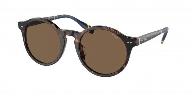 Polo Ralph Lauren  PH4204U 500373 Shiny Dark Havana (Brown)
