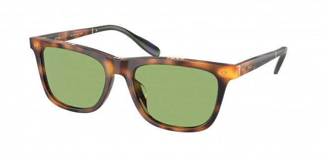 Polo Ralph Lauren  PH4205U 6089/2 Shiny Red Havana (Light Green)