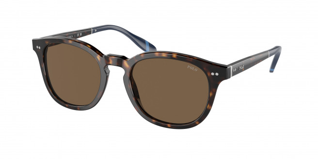 Polo Ralph Lauren  PH4206 500373 Shiny Dark Havana (Brown)