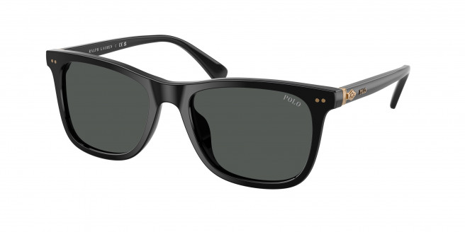 Polo Ralph Lauren  PH4220U 500187 Shiny Black (Dark Grey)