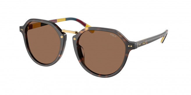 Polo Ralph Lauren  PH4223U 621273 Shiny Dark Havana (Dark Brown)