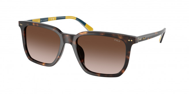 Polo Ralph Lauren  PH4224U 500313 Shiny Dark Havana (Gradient Dark Brown)