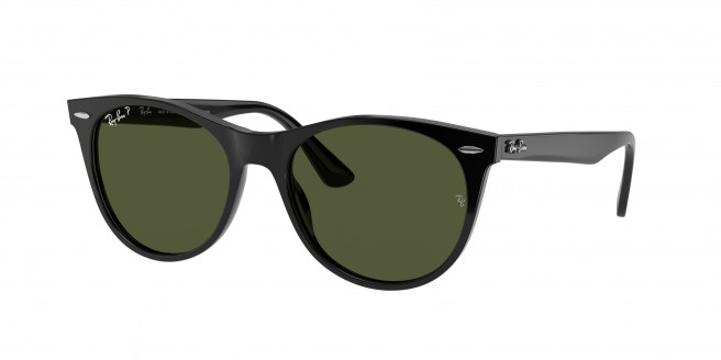 Ray-ban Wayfarer Ii RB2185 901/58 Black Polarized (G-15 Green)