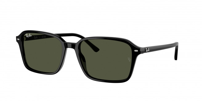 Ray-ban Raimond RB2231 901/31 Black (G-15 Green)