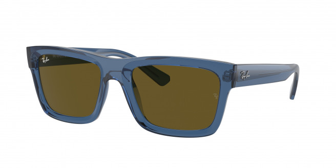 Ray-ban Warren RB4396 668073 Transparent Dark Blue (Dark Brown)