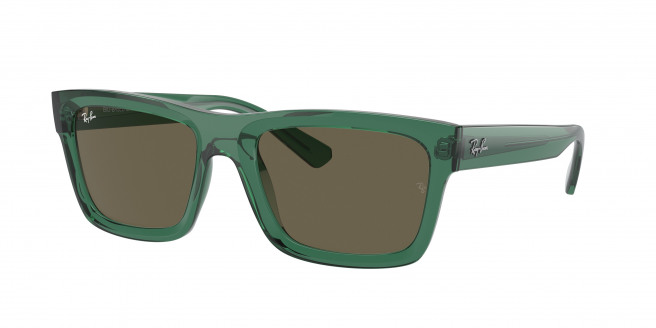 Ray-ban Warren RB4396 6681/3 Transparent Green (Brown)