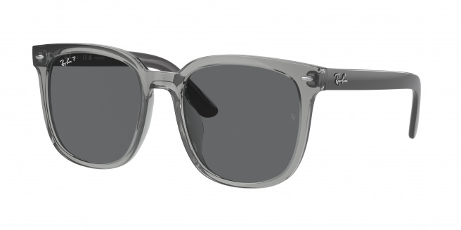 Ray-ban  RB4401D 659981 Transparent Grey Polarized (Dark Grey)