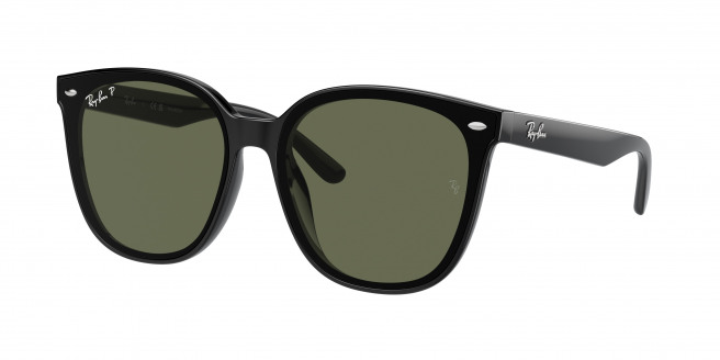 Ray-ban  RB4423D 601/9A Black Polarized (Dark Green)