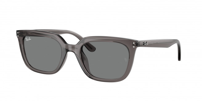 Ray-ban  RB4439D 667587 Transparent Grey (Dark Grey)