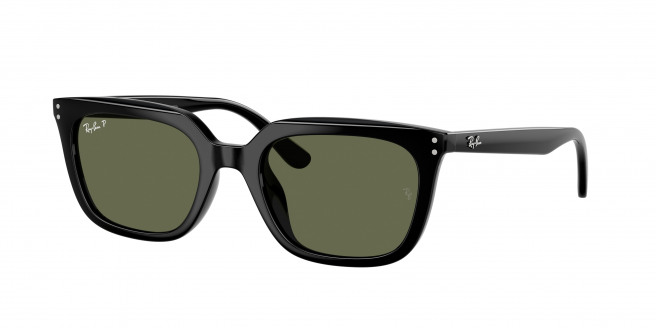 Ray-ban  RB4439D 901/9A Black Polarized (Dark Green Polar)