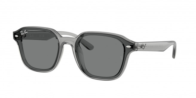 Ray-ban  RB4458D 645087 Transparent Grey (Dark Brown)
