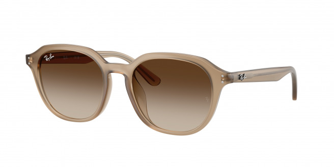 Ray-ban  RB4459D 616613 Turtledove (Gradient Brown)