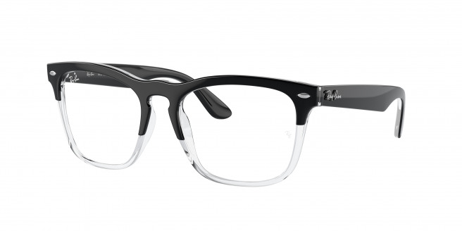 Ray-ban Steve RX4487V 8193 Black On Transparent