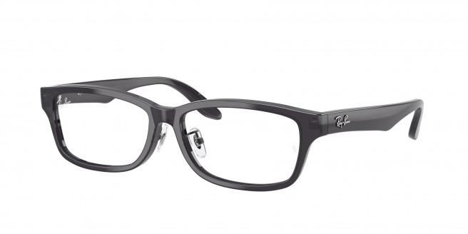 Ray-ban  RX5408D 5920 Transparent Dark Grey