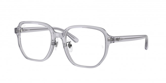 Ray-ban  RX5424D 8415 Transparent Grey