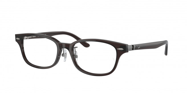 Ray-ban  RX5427D 8290 Transparent Brown