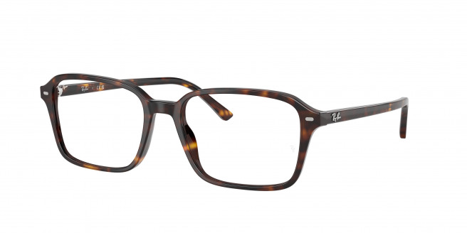 Ray-ban Raimond RX5431 2012 Havana