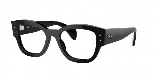 Ray-ban Jorge RX7681V 2000 Black