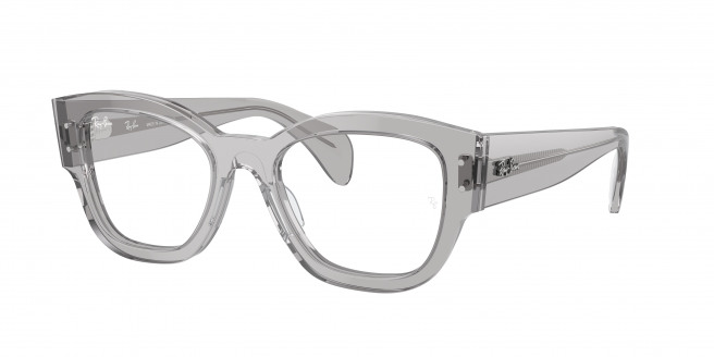 Ray-ban Jorge RX7681V 2102 Transparent Grey