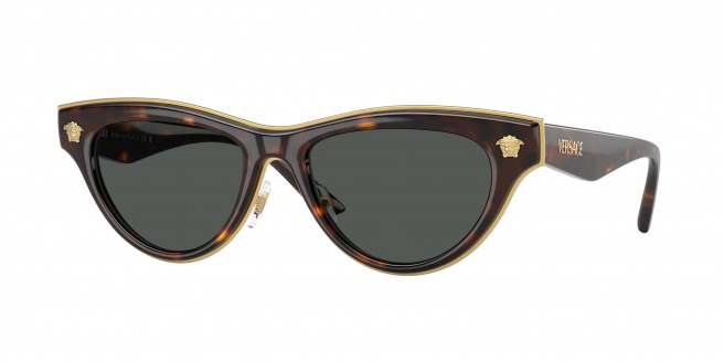 Versace  VE2273 108/87 Havana (Dark Grey)