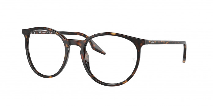 Ray-ban  RB2204 902/GJ Havana (Clear/Green)