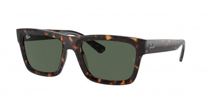 Ray-ban Warren RB4396 135971 Havana (Dark Blue)