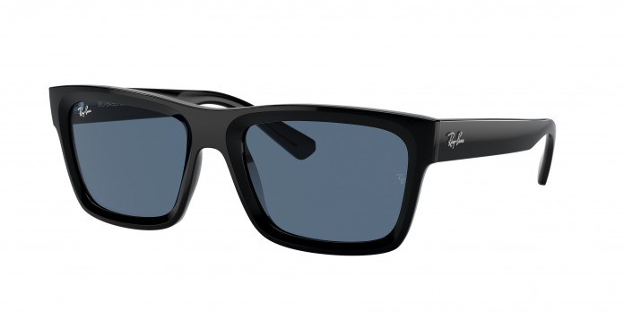 Ray-ban Warren RB4396 667780 Black (Dark Blue)