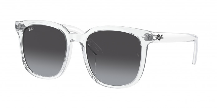 Ray-ban  RB4401D 64478G Transparent (Grey)