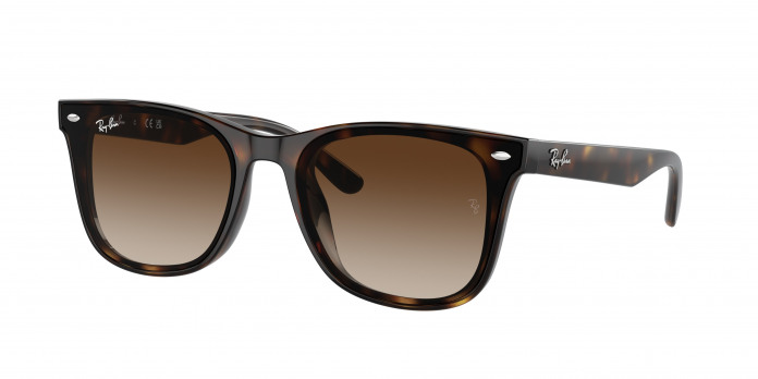 Ray-ban  RB4420 710/13 Havana (Brown)