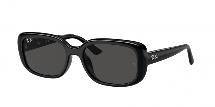 Ray-ban  RB4421D 667787 Black (Dark Grey)