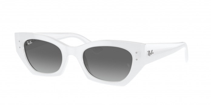 Ray-ban Zena RB4430 675911 White Snow (Grey)