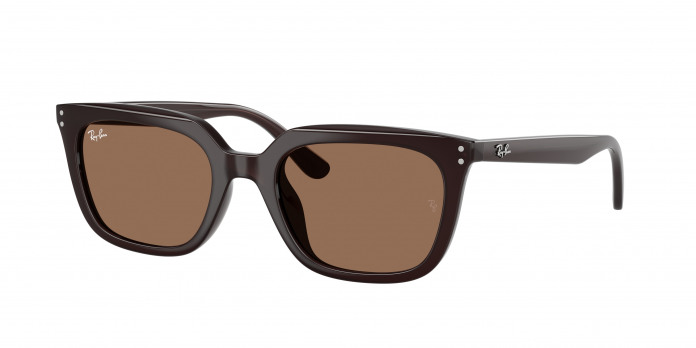 Ray-ban  RB4439D 623173 Opal Brown (Dark Brown)