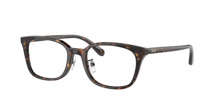 Ray-ban  RX5407D 2012 Havana