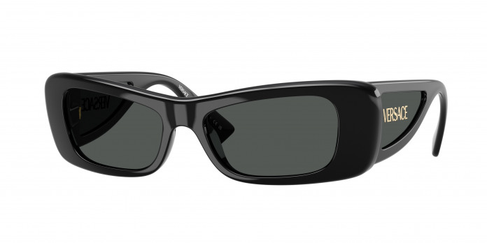 Versace  VE4481 GB1/87 Black (Dark Grey)