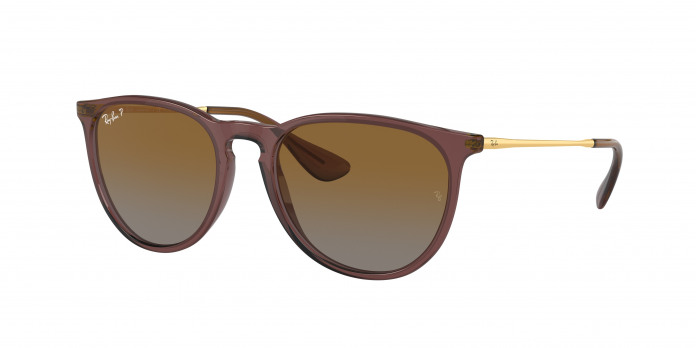 Ray-ban Erika RB4171 6593T5 Transparent Dark Brown Polarized (Brown Gradient Polar)