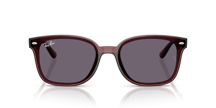 Ray-ban RB4461D 659373 - Image 2