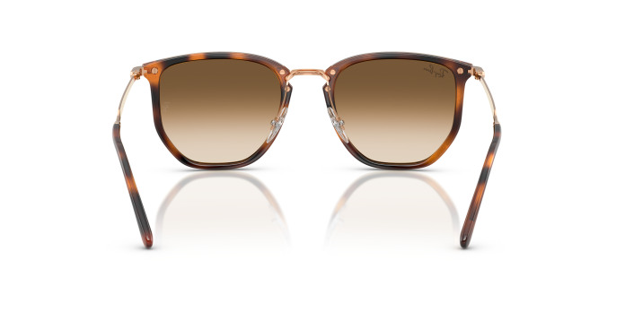 Ray-ban RB4451 680451 - Image 4