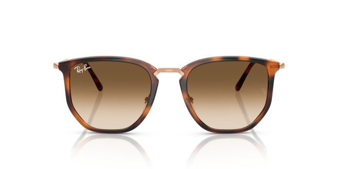 Ray-ban RB4451 680451 - Image 2