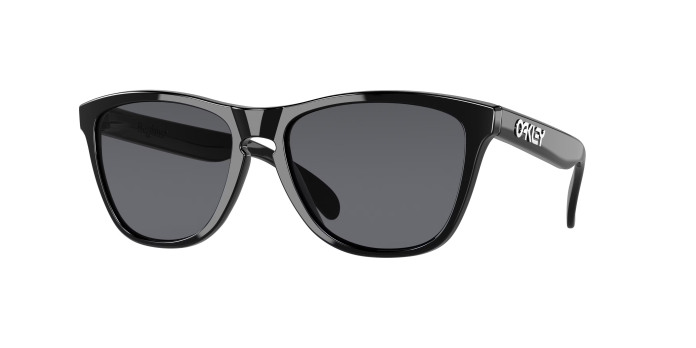 Oakley Frogskins OO9013 24-306 Polished Black (grey)
