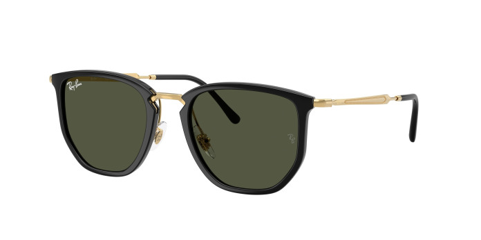 Ray-ban  RB4451 630631 Black (Green)