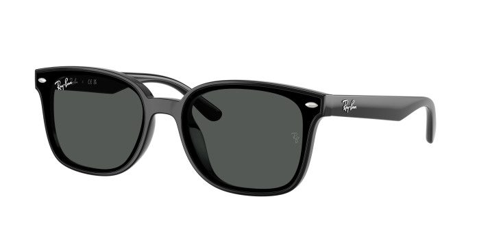 Ray-ban RB4461D 601/87 Black (Dark Grey)