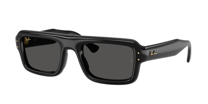 Ray-ban  RB4954 601/87 Black (Ultra Black)