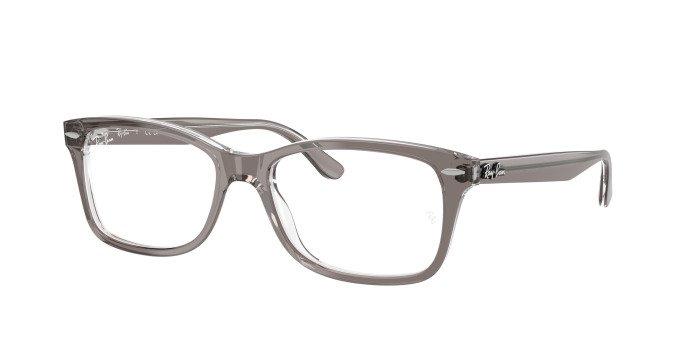 Ray-ban  RX5428 8111 Transparent Grey