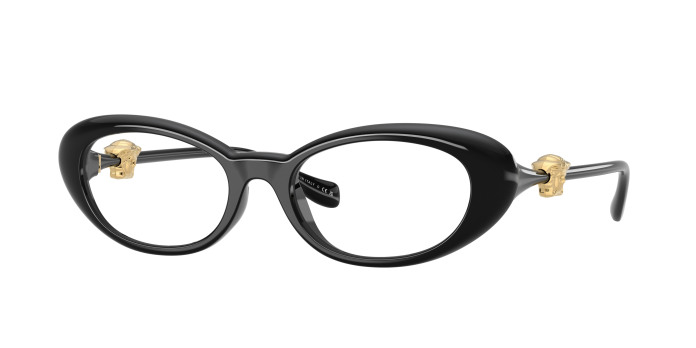 Versace  VE3381U GB1 Black