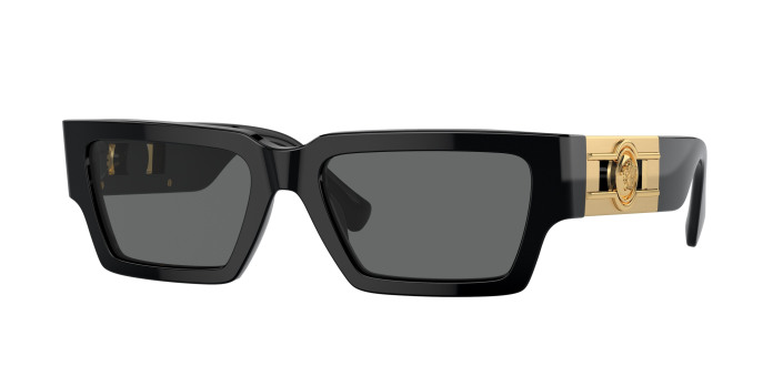 Versace  VE4459 GB1/87 Black (Dark Grey)