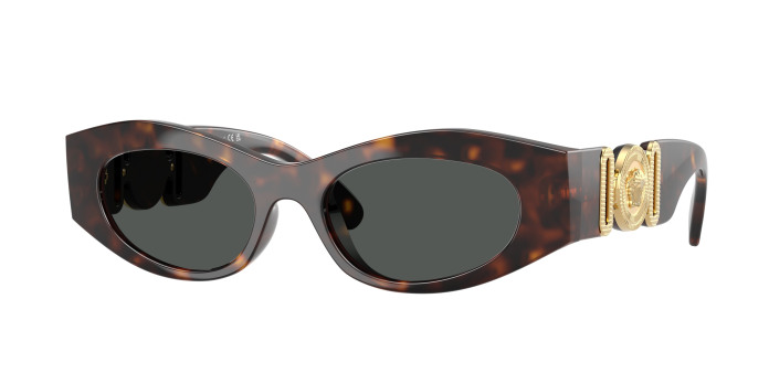 Versace VE4480U 108/87 Havana (Dark Grey)